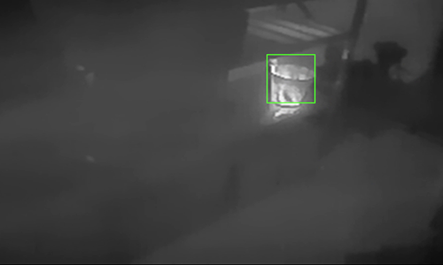 المراقبة في الوقت الفعلي والتحليل الذكي